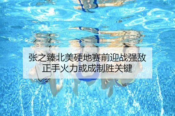 张之臻北美硬地赛前迎战强敌 正手火力或成制胜关键